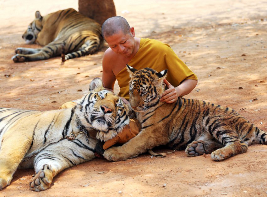 ?? ??? 140?? ???? ‘??’