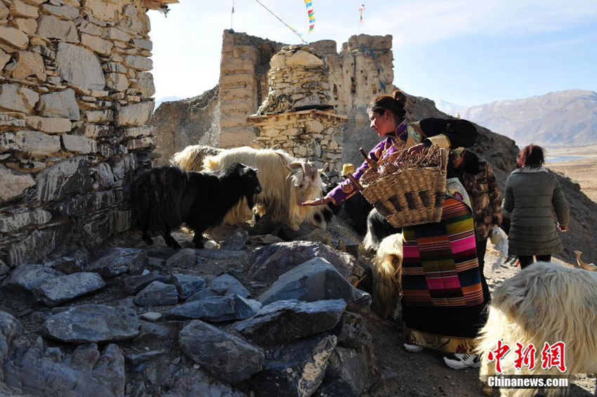 ???? ???? ??…?? ?? ? ?? ???