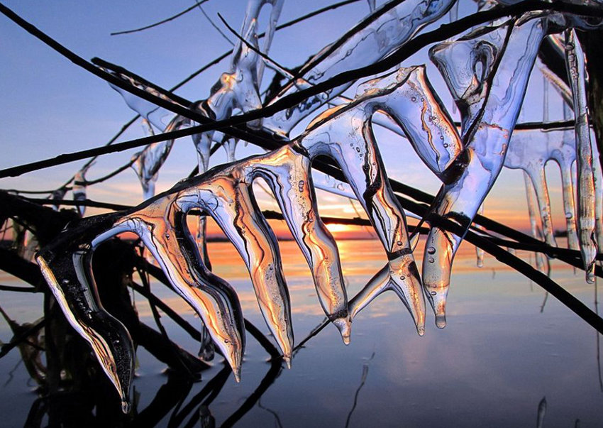 ?? ‘????’ ??…??? ?? ???? ??