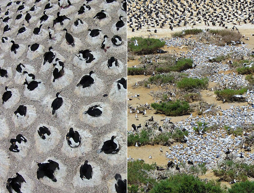 ???? ??? ?? ??…“??? ? ??”