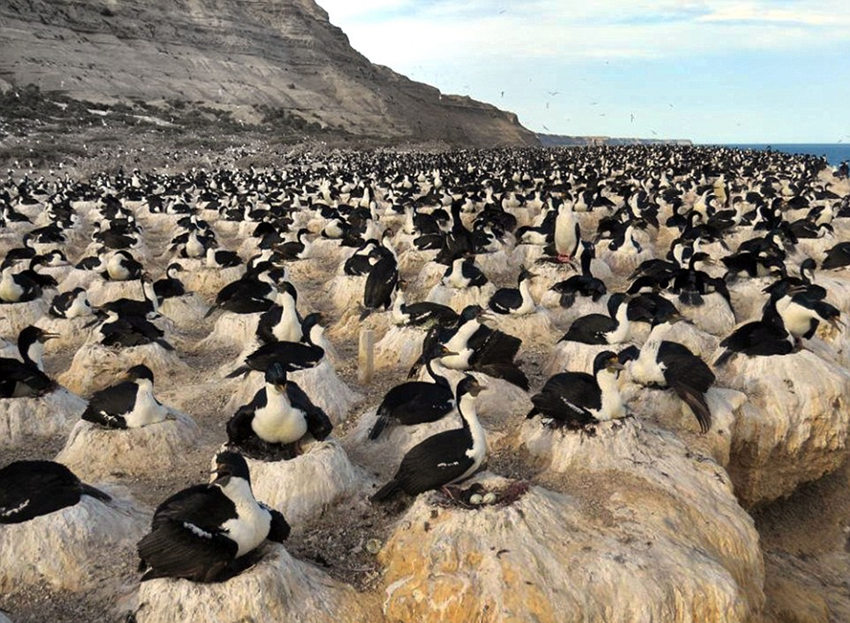 ???? ??? ?? ??…“??? ? ??”