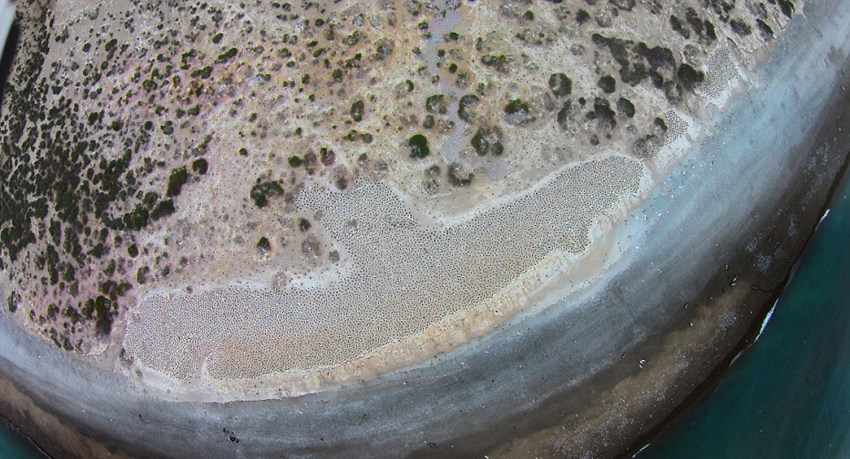 ???? ??? ?? ??…“??? ? ??”