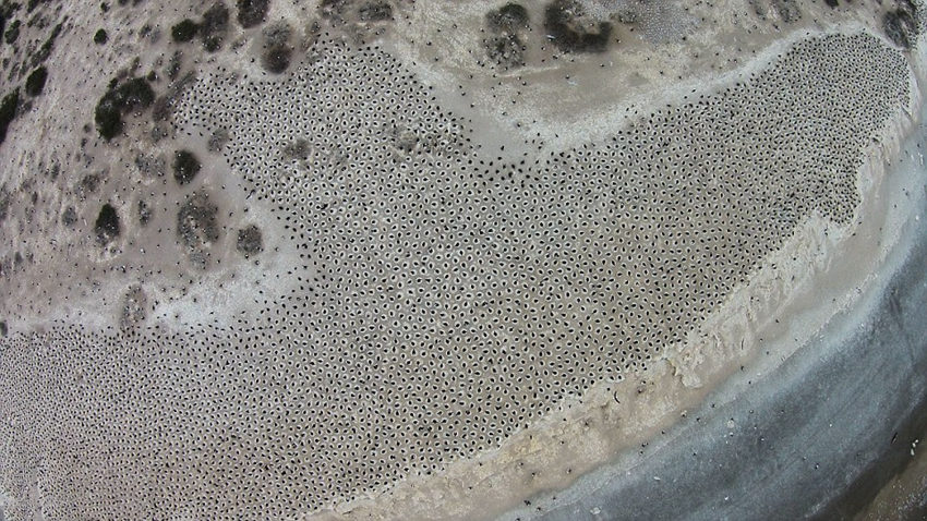 ???? ??? ?? ??…“??? ? ??”