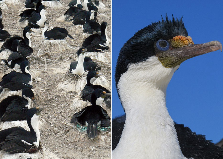 ???? ??? ?? ??…“??? ? ??”