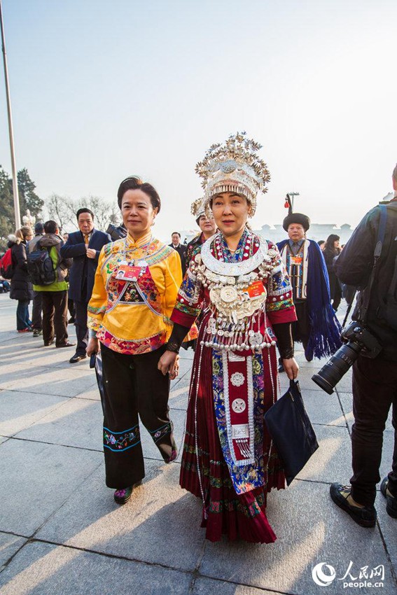 [2015??] ???? ???? ??? ??? ???? ??