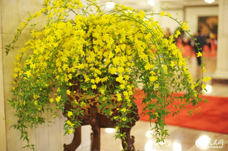 [2015??] ??? ??? ?? ??   