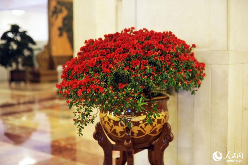 [2015??] ??? ??? ?? ??   