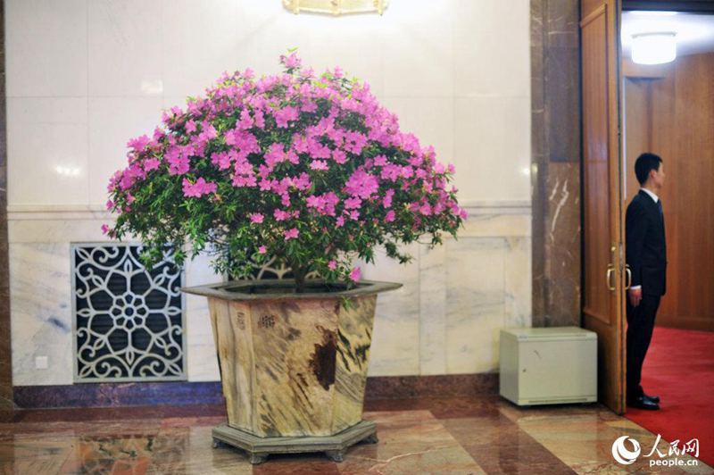 [2015??] ??? ??? ?? ??   