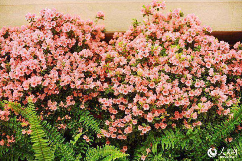 [2015??] ??? ??? ?? ??   