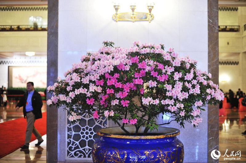 [2015??] ??? ??? ?? ??   