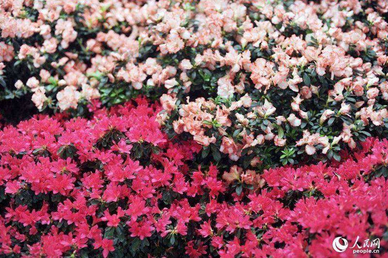 [2015??] ??? ??? ?? ??   