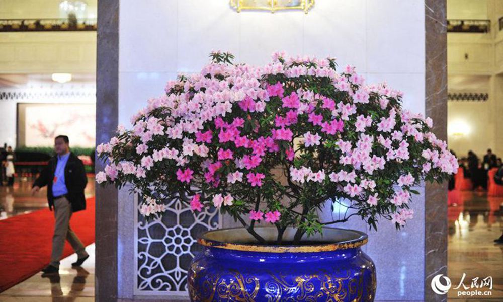 2015? 3? 8? ???, ??(兩會) ?? ????? ??? ???? ? ???? ????.