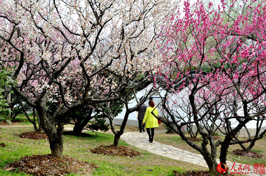 ?? ????, ???? ??? ????