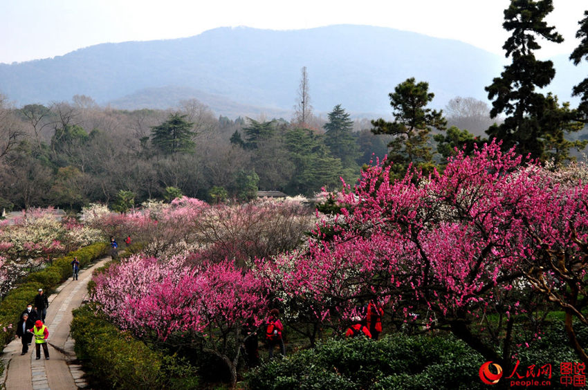 ?? ????, ???? ??? ????