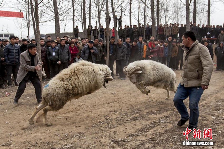 ?? ??? ????? ??…??? ?? ??