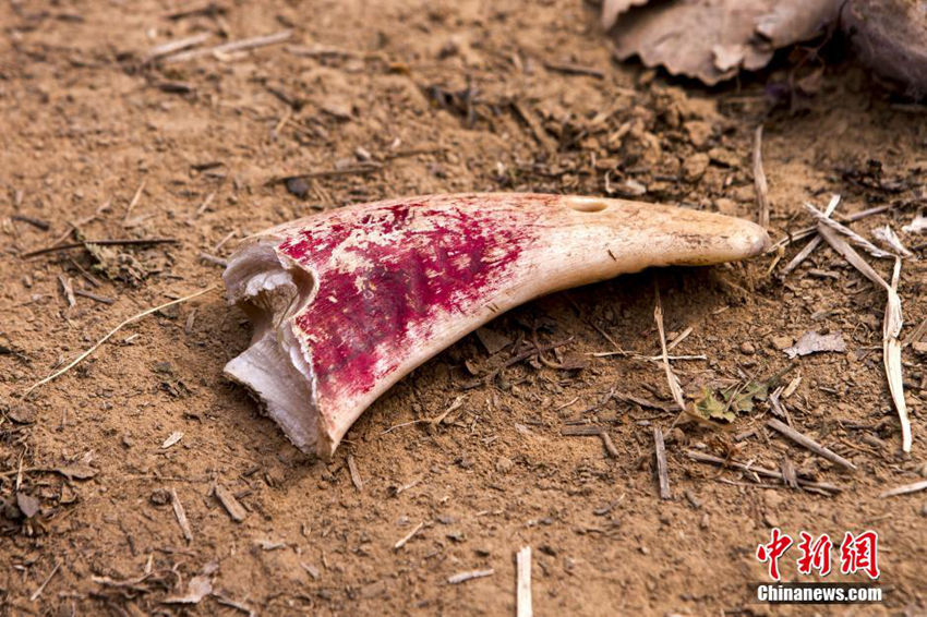 ?? ??? ????? ??…??? ?? ??