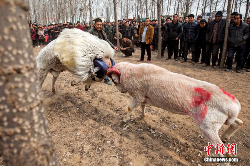 ?? ??? ????? ??…??? ?? ??