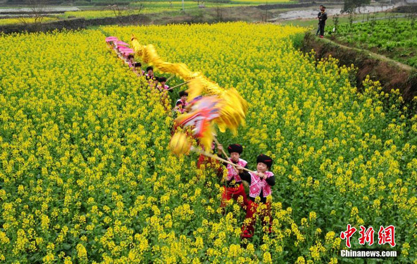 ?? ???? ‘???’ ??? ????