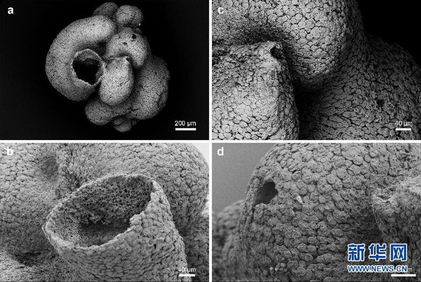 中???, 6? ?前 ?? ???? ??