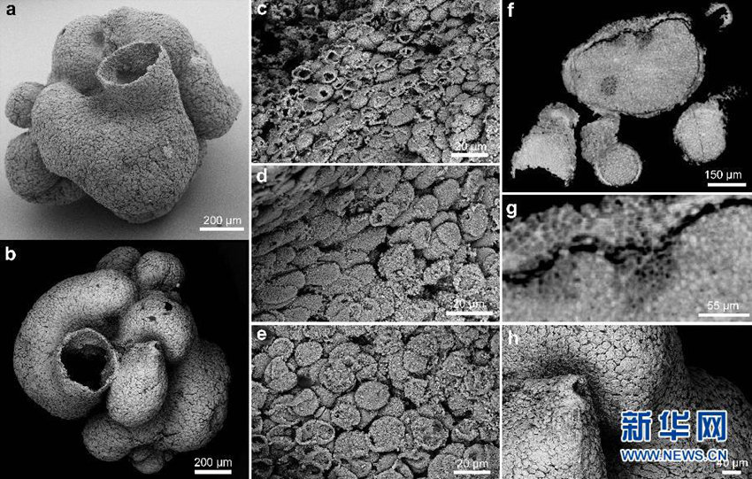 中???, 6? ?前 ?? ???? ??
