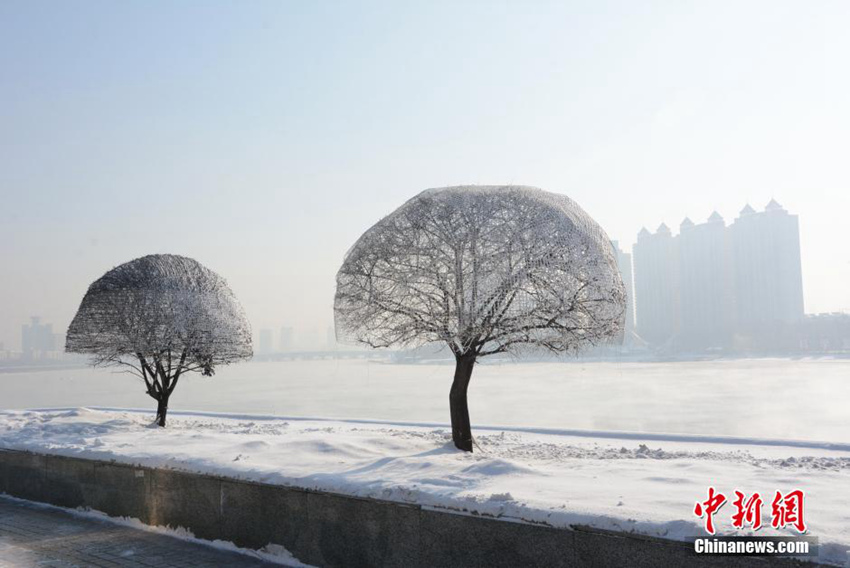 ???? ? ??? 3? ??, ‘????’ ??