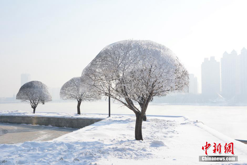 ???? ? ??? 3? ??, ‘????’ ??