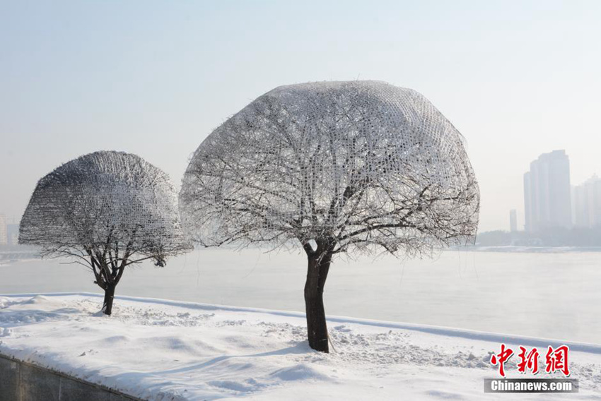 ???? ? ??? 3? ??, ‘????’ ??