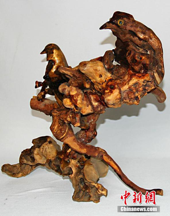 ?? ?????? ???????? “??? ??”