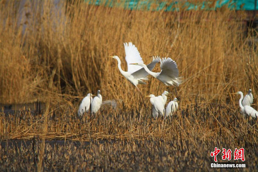 ?? ??? ??? ?? ‘??? ????’