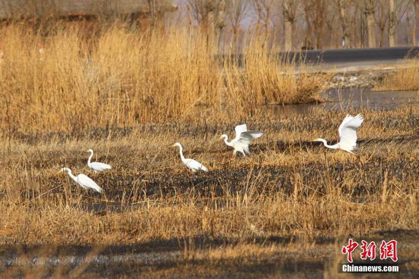 ?? ??? ??? ?? ‘??? ????’