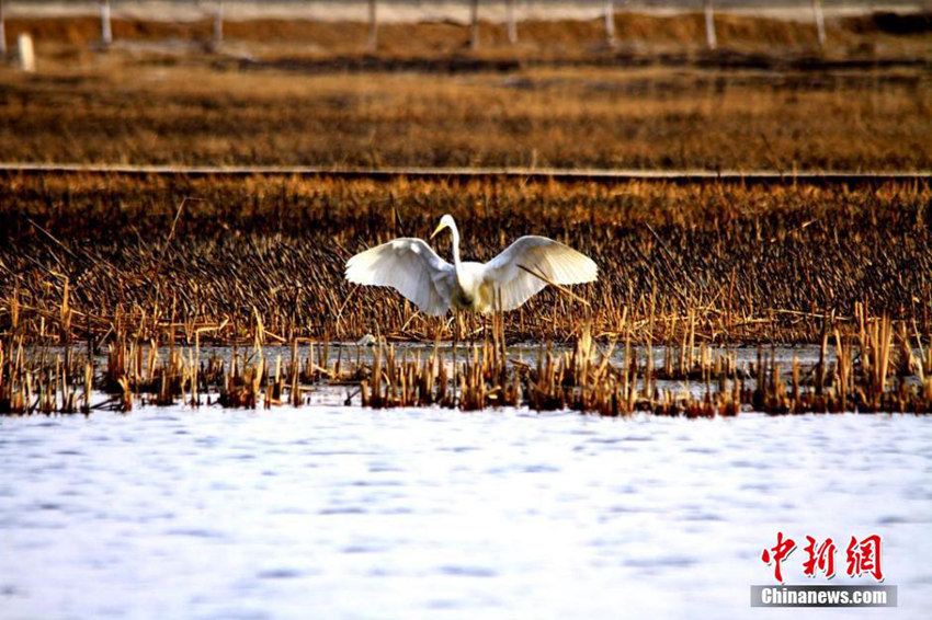 ?? ??? ??? ?? ‘??? ????’