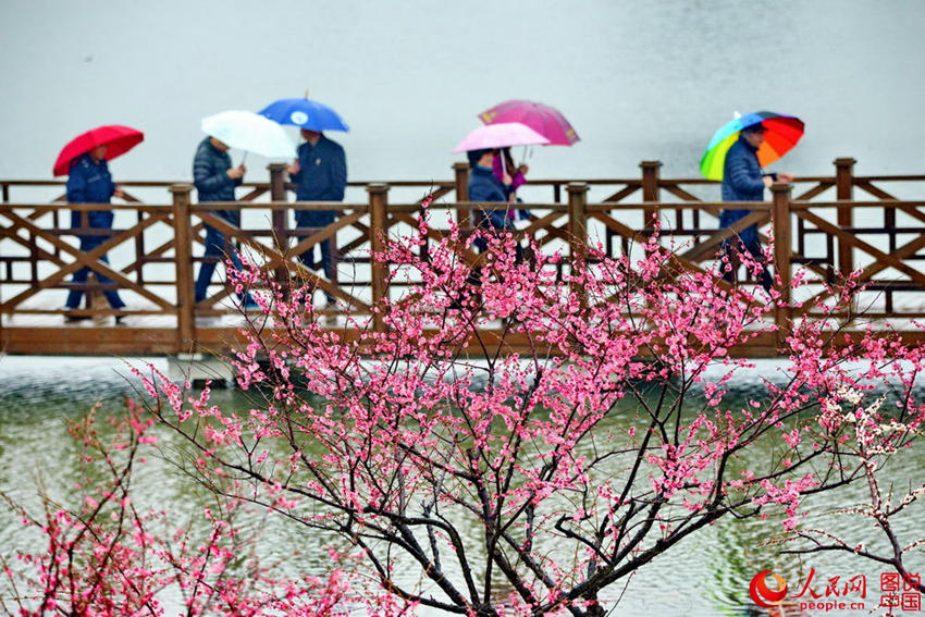 “???? ??? ??? ??? ?? ???”