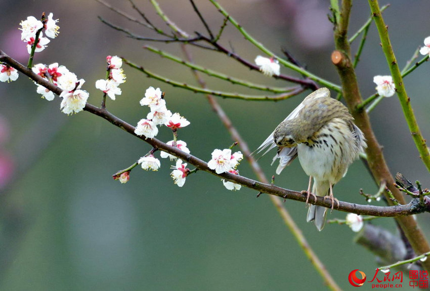 “???? ??? ??? ??? ?? ???”