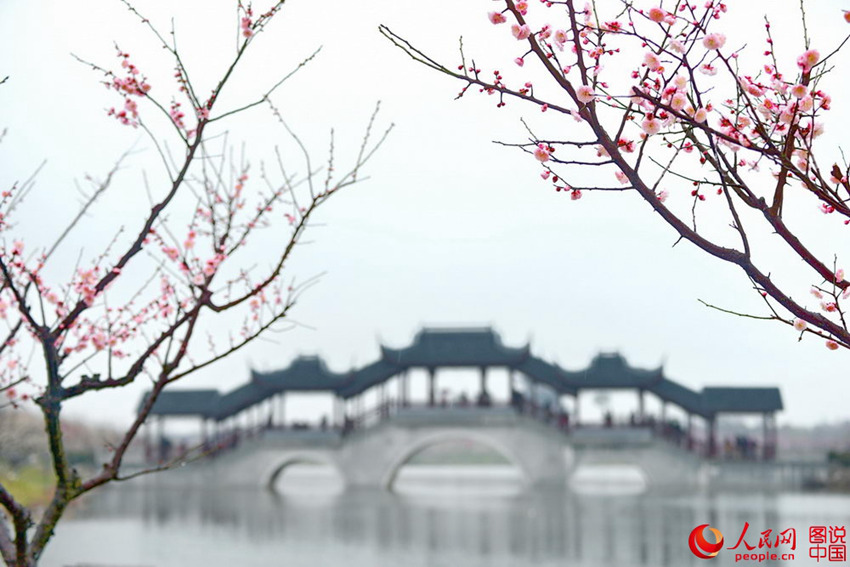 “???? ??? ??? ??? ?? ???”