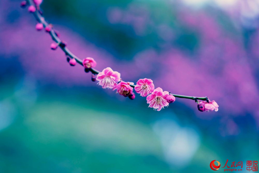 “???? ??? ??? ??? ?? ???”