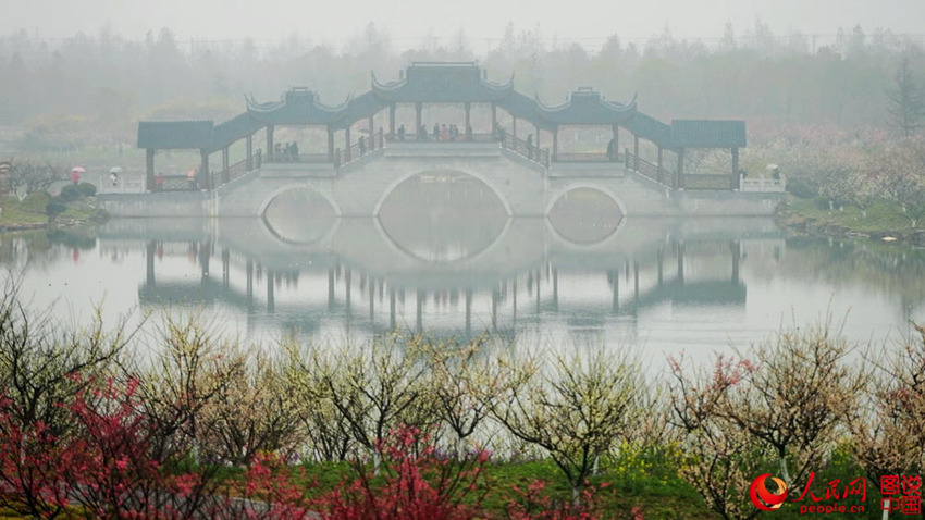 “???? ??? ??? ??? ?? ???”