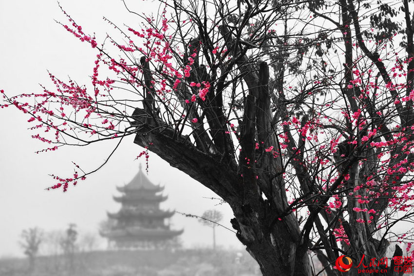 “???? ??? ??? ??? ?? ???”