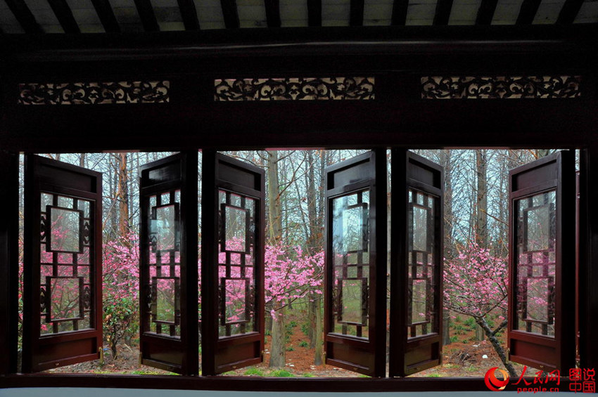 “???? ??? ??? ??? ?? ???”