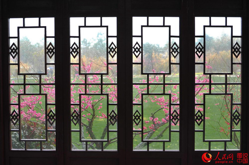 “???? ??? ??? ??? ?? ???”