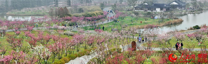 “???? ??? ??? ??? ?? ???”