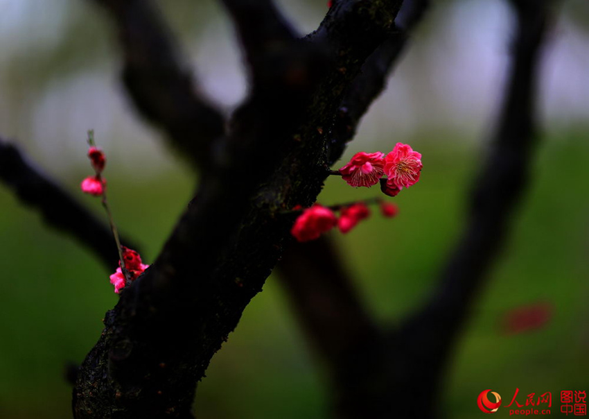 “???? ??? ??? ??? ?? ???”