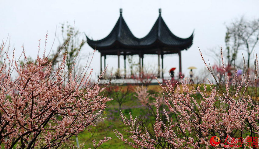 “???? ??? ??? ??? ?? ???”