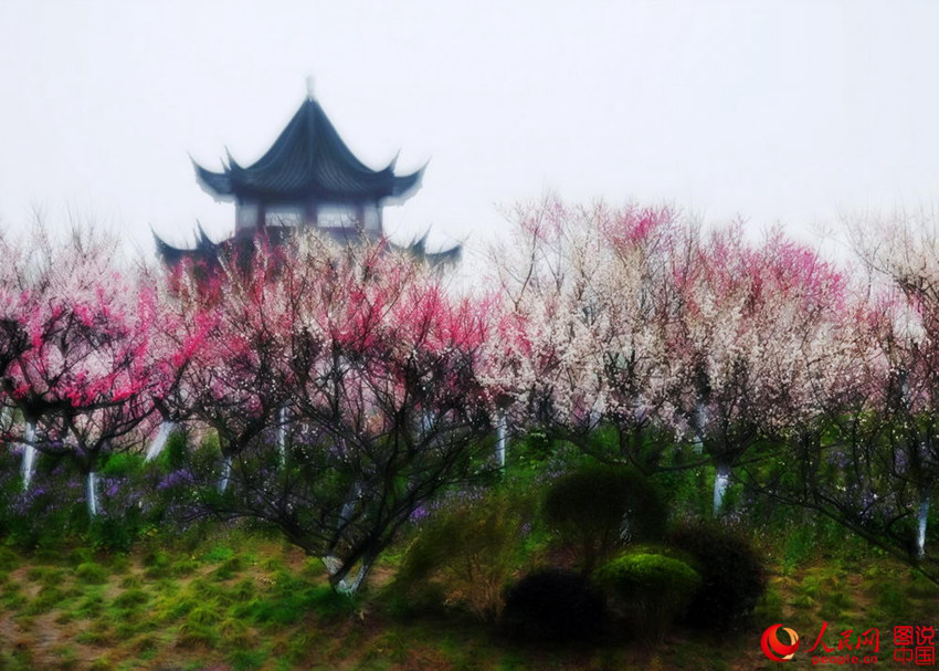 “???? ??? ??? ??? ?? ???”