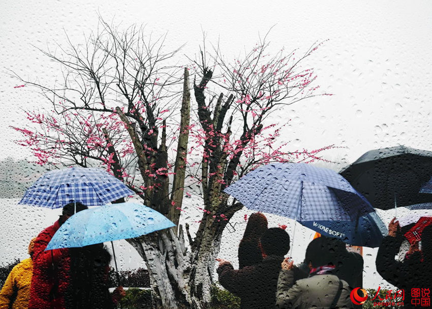 “???? ??? ??? ??? ?? ???”