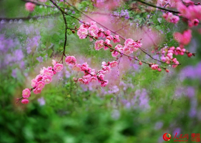 “???? ??? ??? ??? ?? ???”