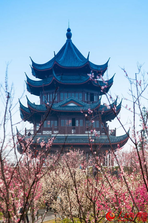 “???? ??? ??? ??? ?? ???”