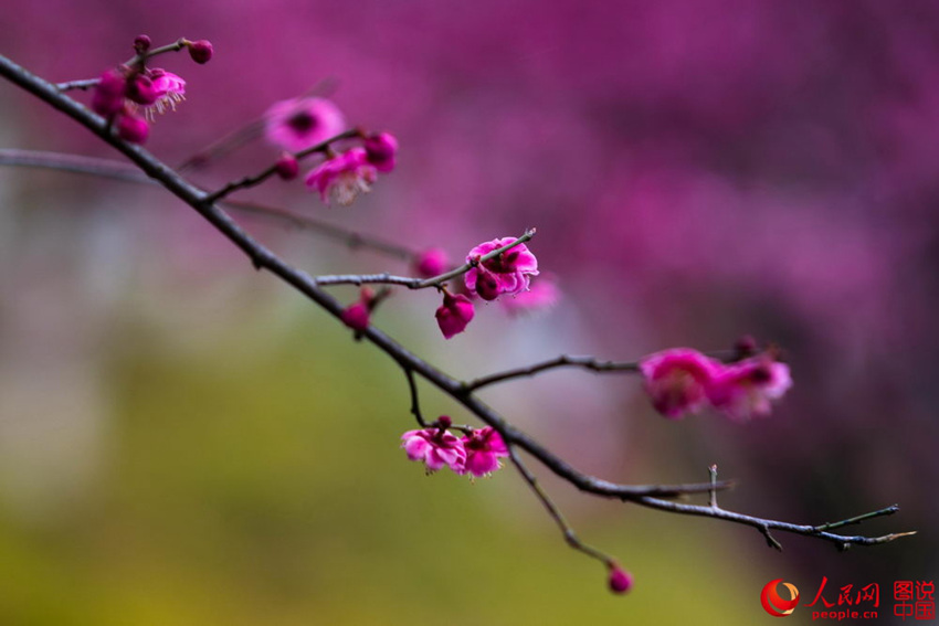 “???? ??? ??? ??? ?? ???”