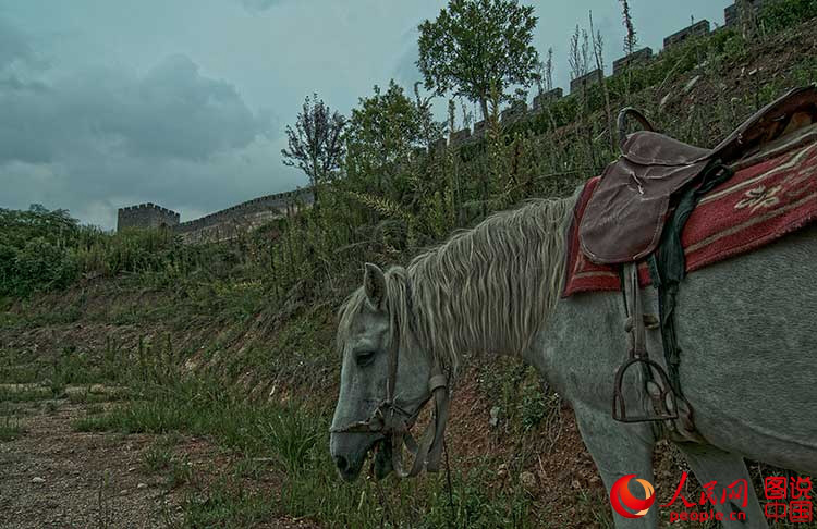 ??????, ?? ??? ???? ??