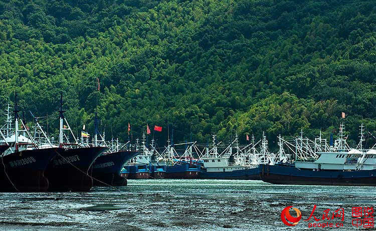 ??????, ?? ??? ???? ??