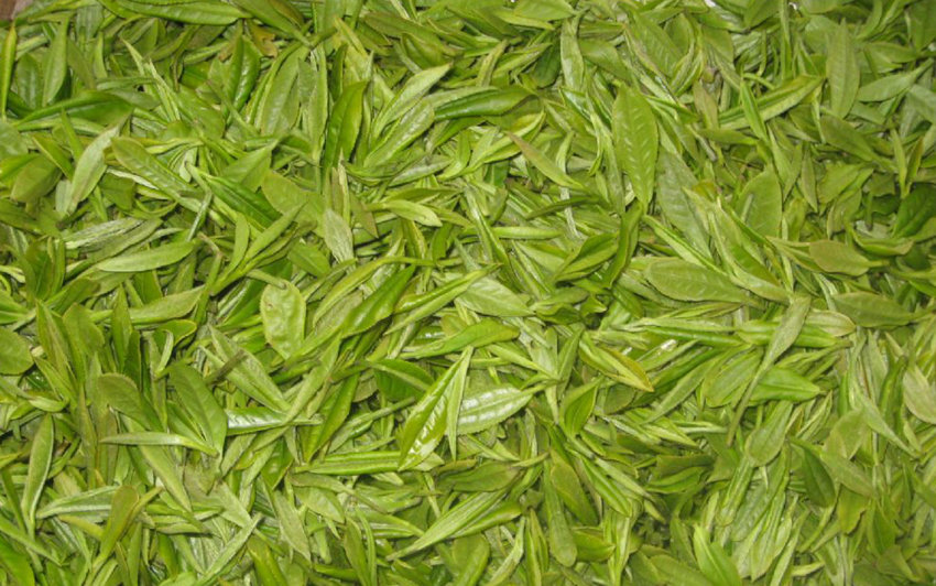 ??? ???? 7? ??, ??? ??? ?? ?? ?